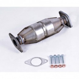 Catalyseur Rover Mini...